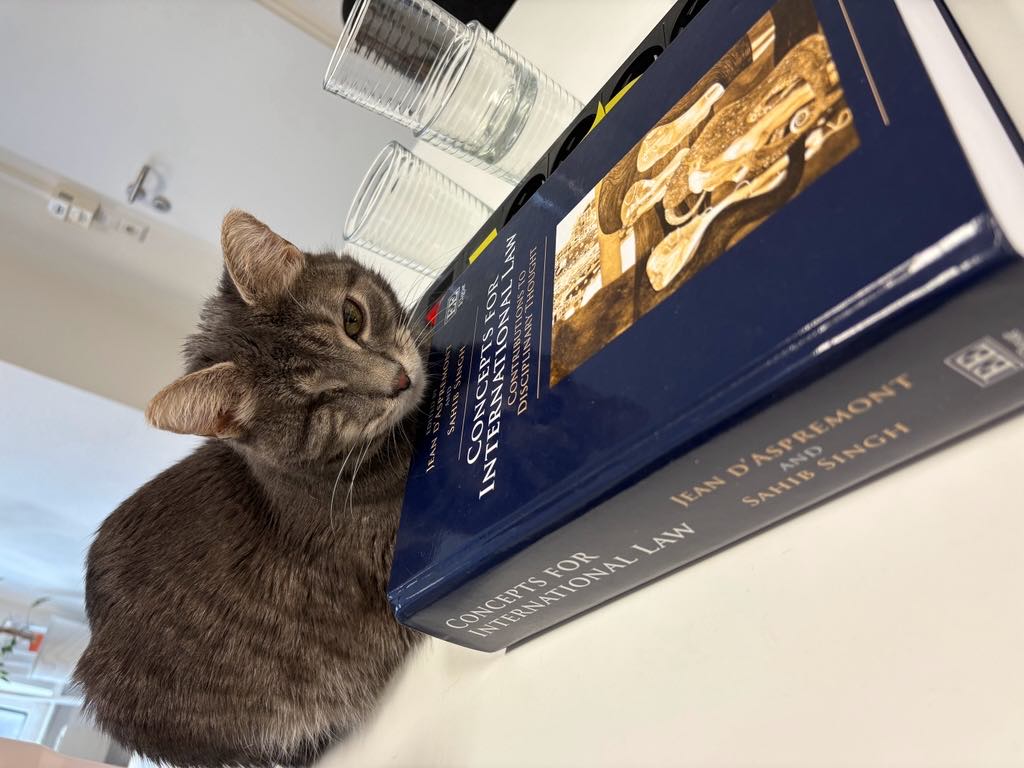 Alfred the Cat rests his chin on 'concepts for international law', a book edited by Jean d'Aspremont and Shahib Singh